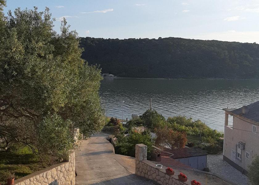 surrounding environment