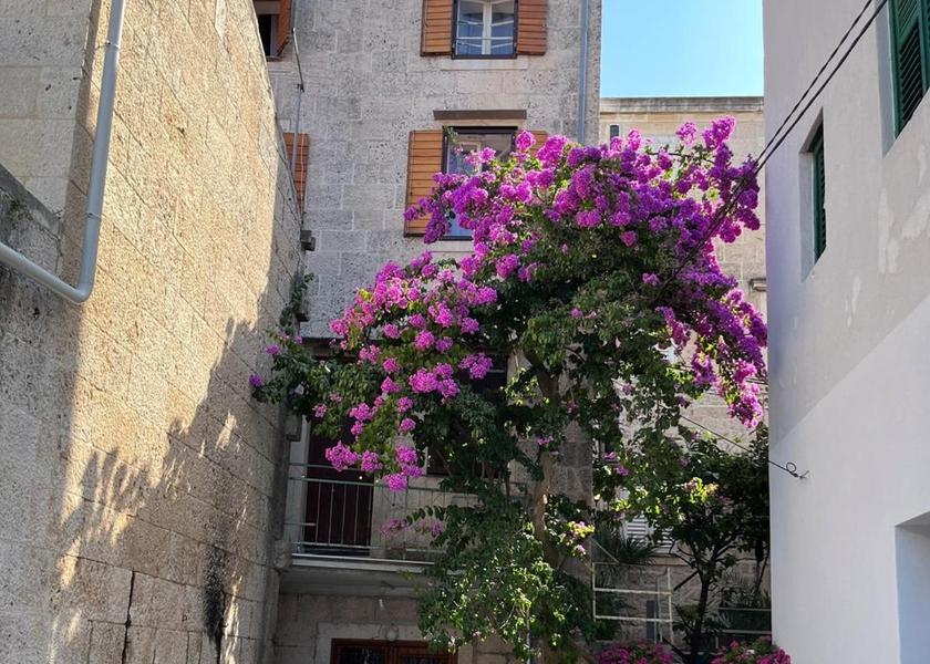 Split-Dalmatia Vis exterior view