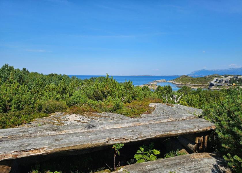 sports and activities