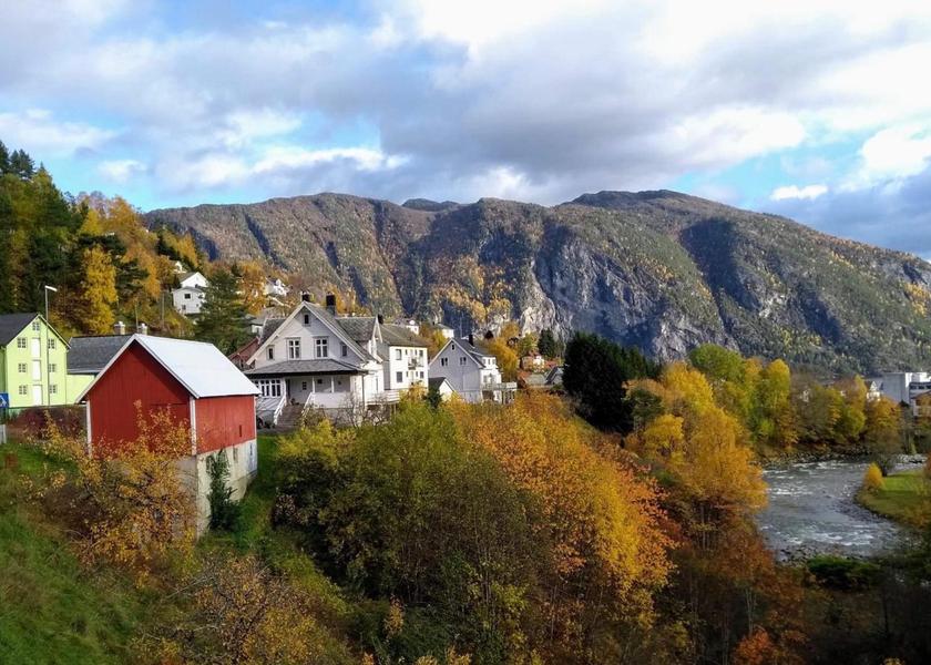 surrounding environment