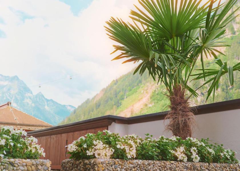 Tyrol Mayrhofen view