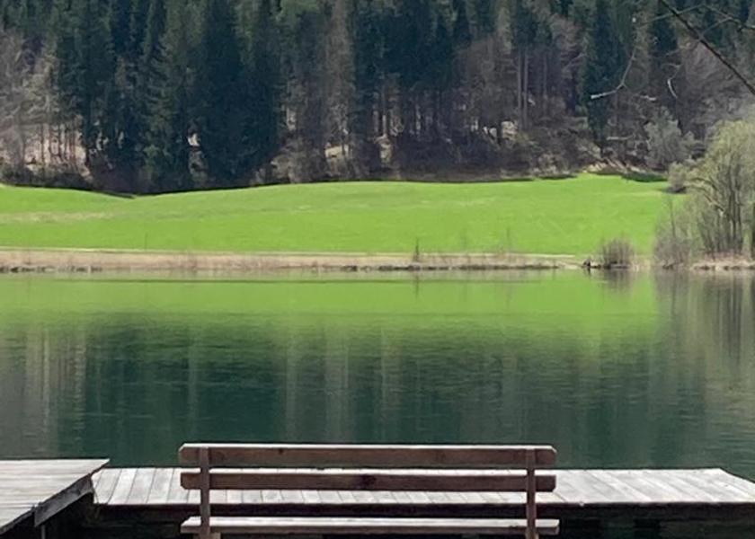 Carinthia Weissensee view