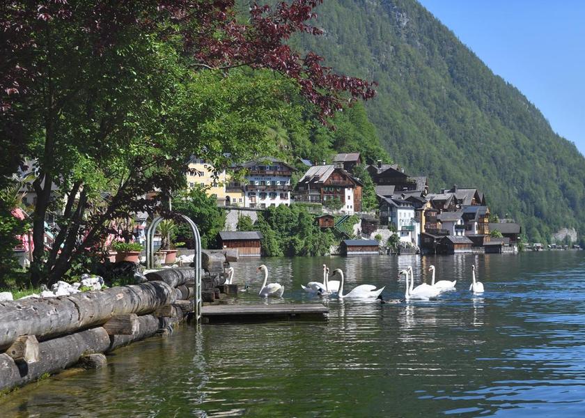 Upper Austria Hallstatt food and beverages