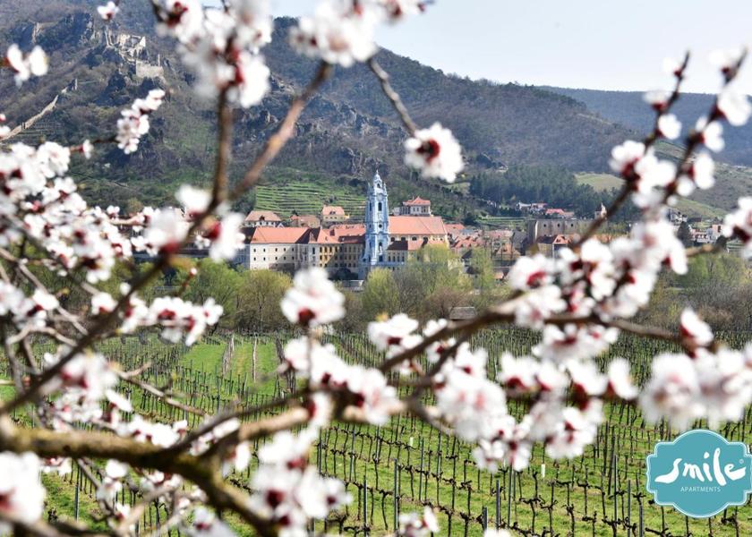 Lower Austria Krems an der Donau nearby attraction