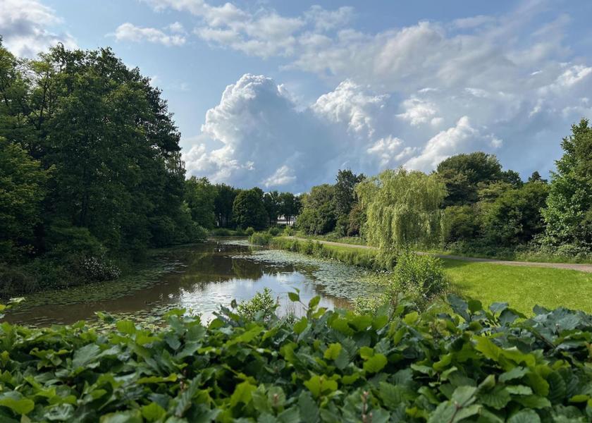 surrounding environment