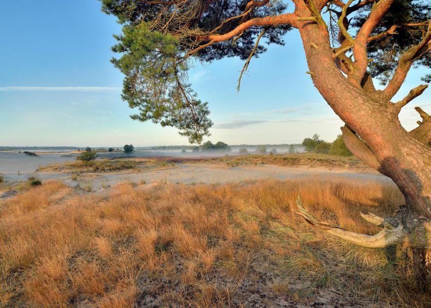 North Brabant Kaatsheuvel nearby attraction