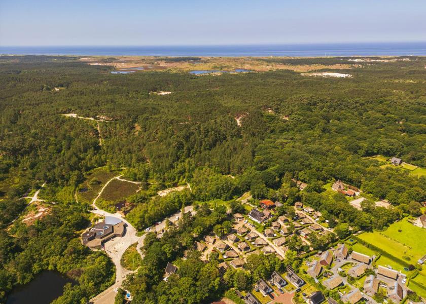 surrounding environment