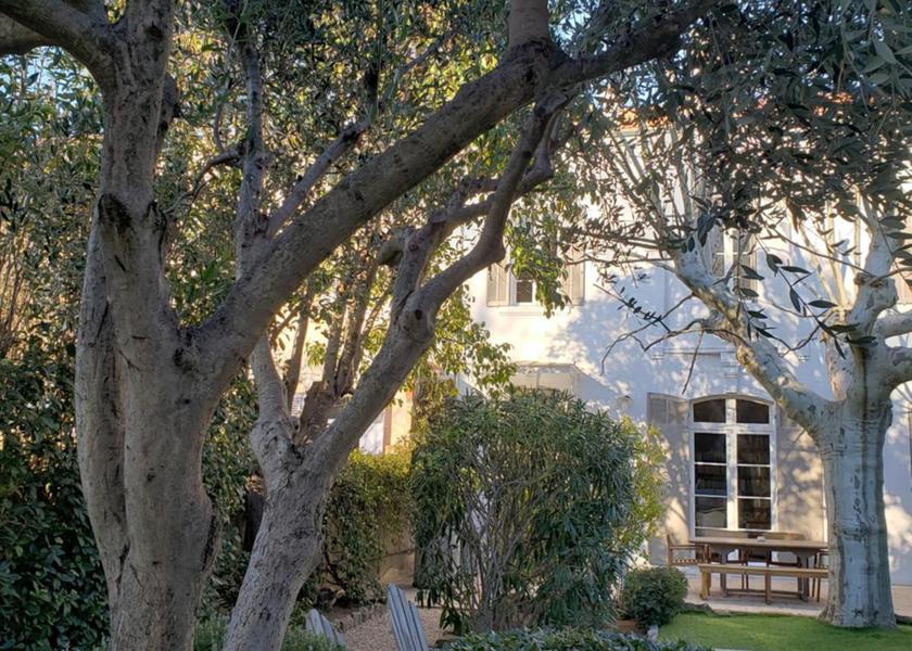 surrounding environment