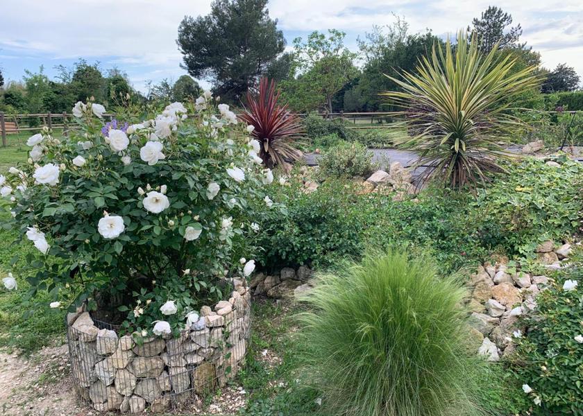 Provence-Alpes-Côte d'Azur Cavaillon garden