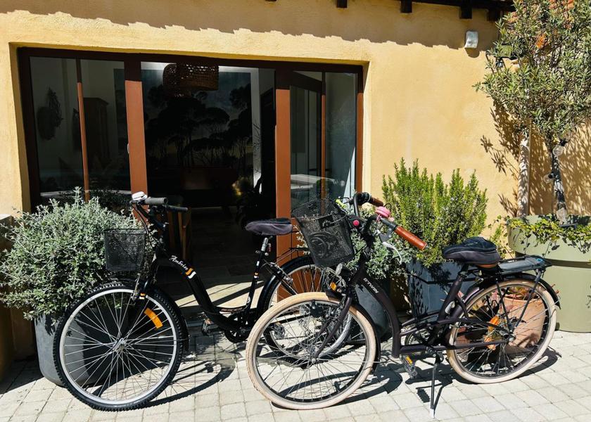 Provence-Alpes-Côte d'Azur Cavaillon 