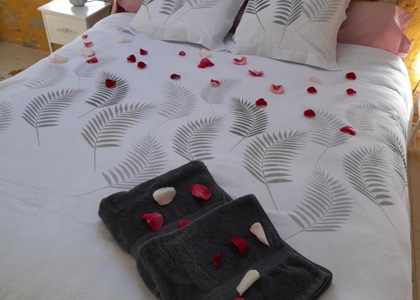 Bourgogne-Franche-Comte Auxerre Double Room with Private Bathroom