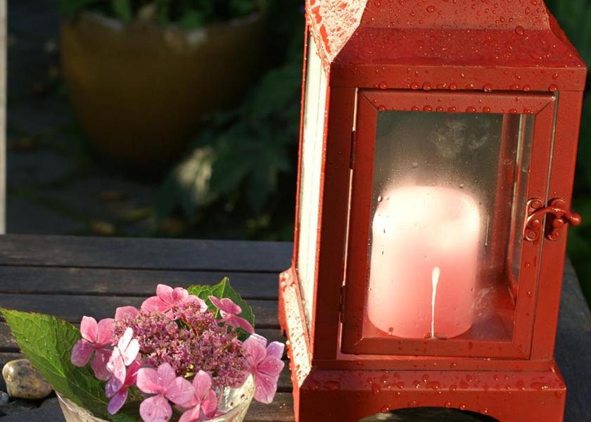 Brittany Cancale garden