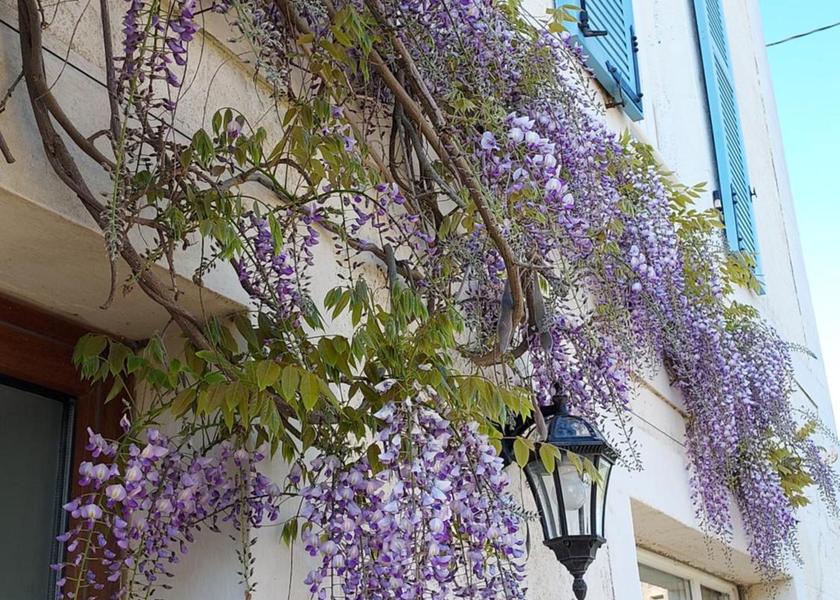 Brittany Cancale entrance