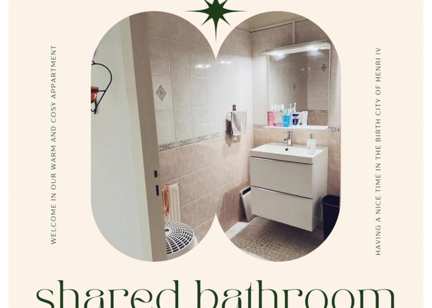 Nouvelle-Aquitaine Pau bathroom