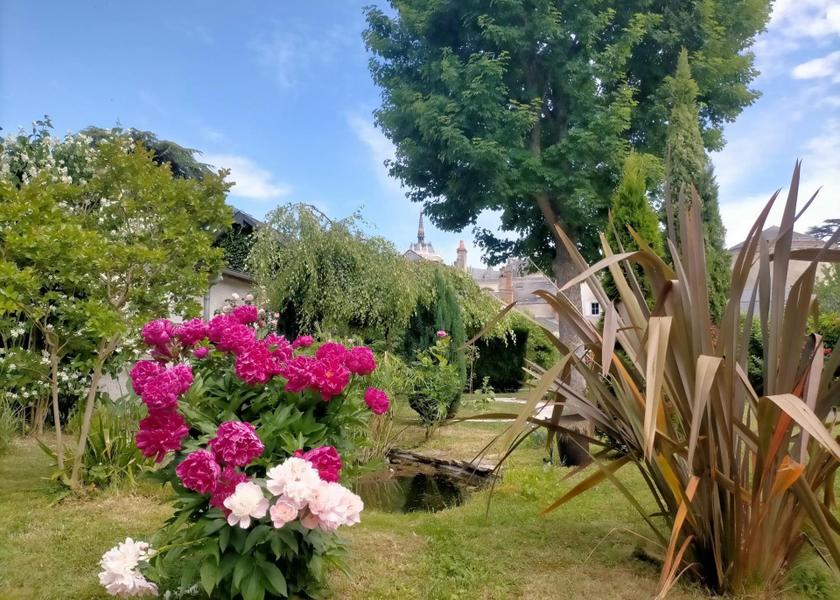 Centre - Loire Valley Amboise surrounding environment