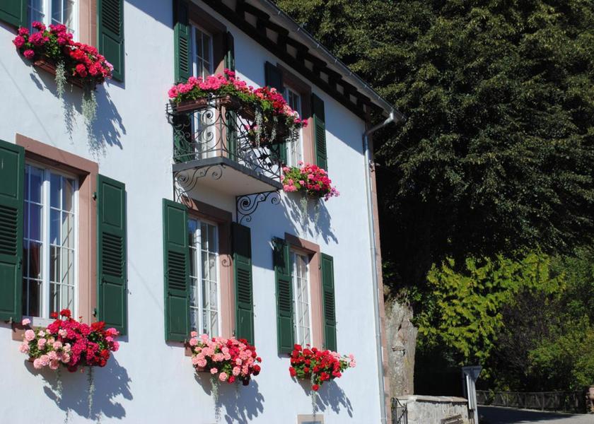 Grand Est Le Hohwald 