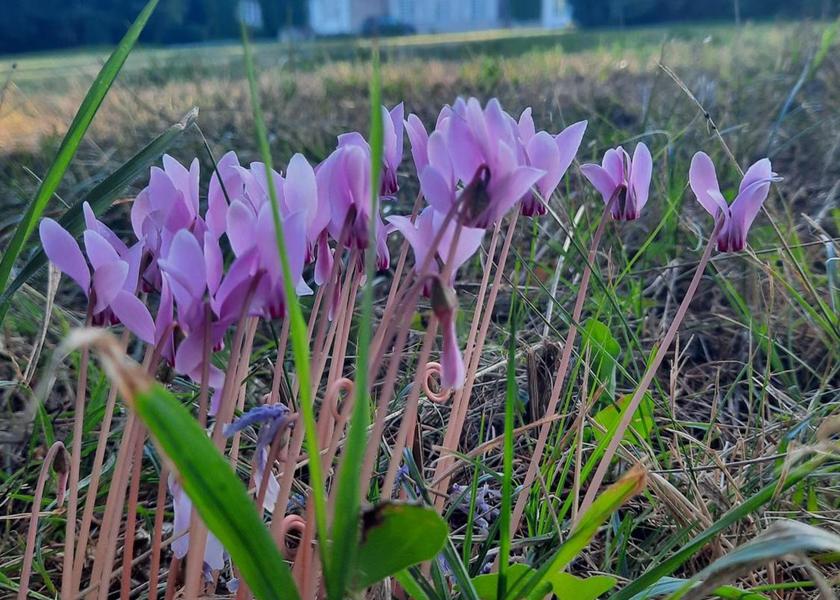 surrounding environment