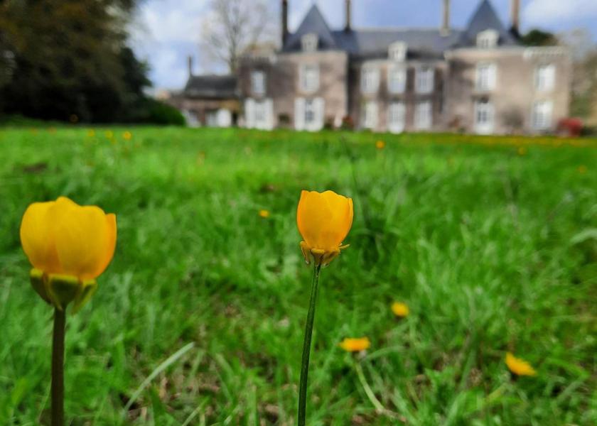 surrounding environment