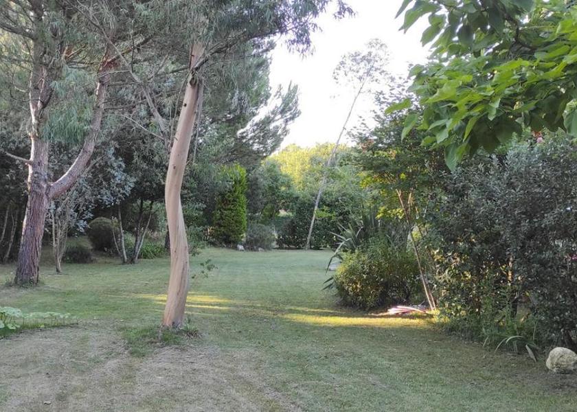 Nouvelle-Aquitaine Blanquefort garden