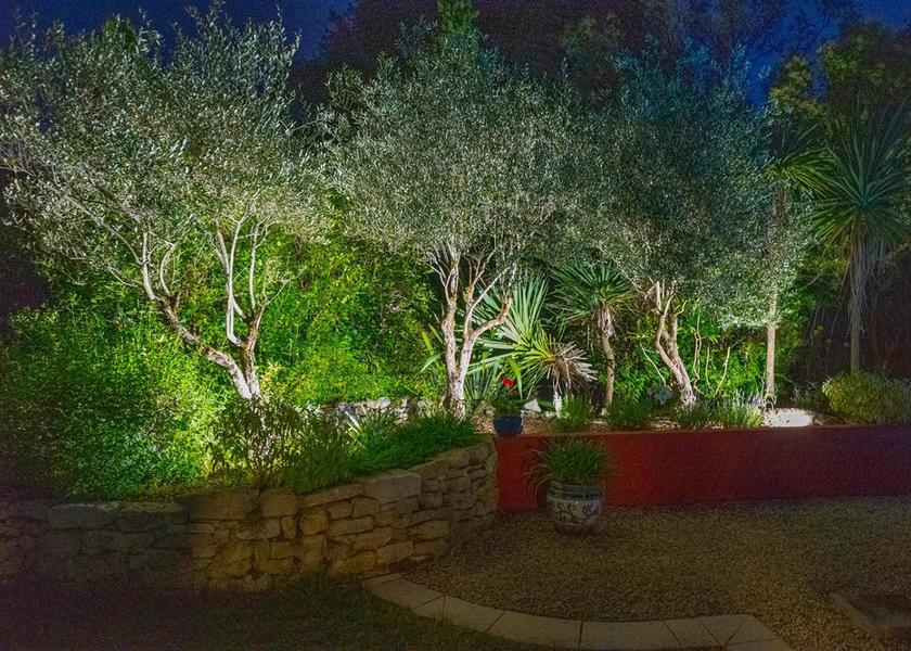 Nouvelle-Aquitaine Blanquefort garden