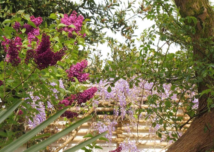 Brittany Concarneau view