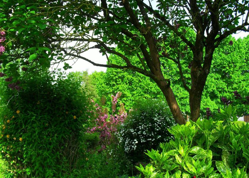 Hauts-de-France Cuincy garden