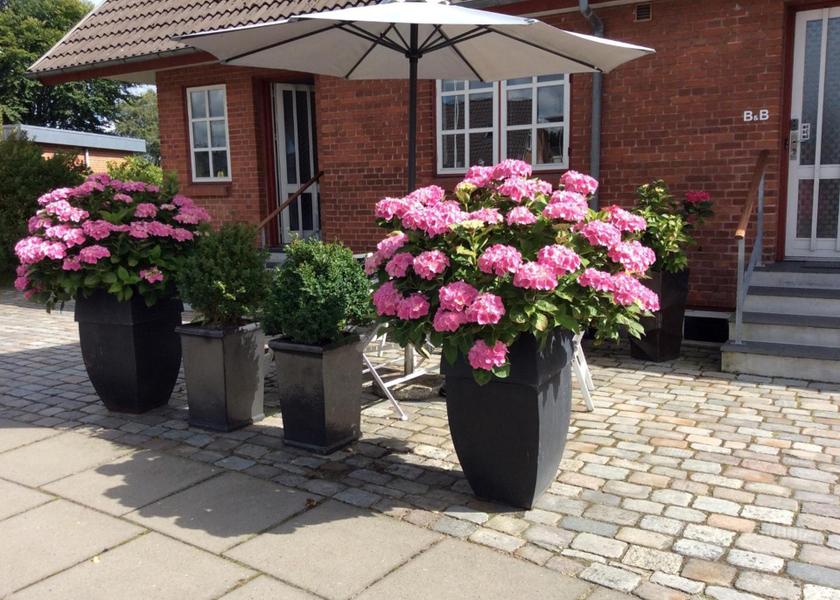 Syddanmark Grindsted exterior view