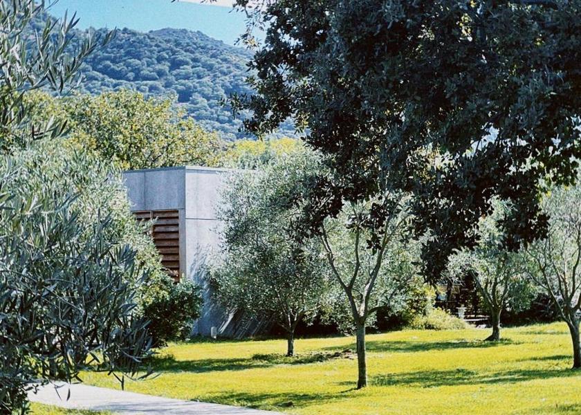 Corsica Pigna 