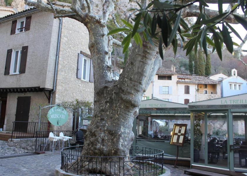 Provence-Alpes-Côte d'Azur Moustiers-Sainte-Marie 