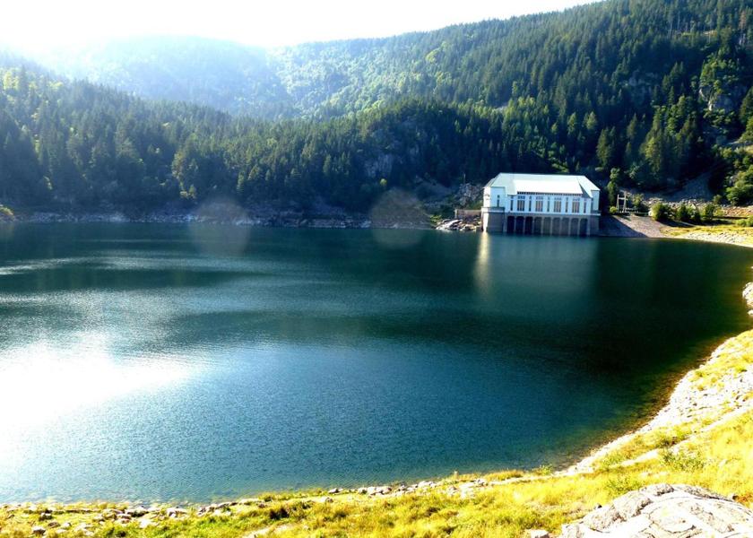 surrounding environment