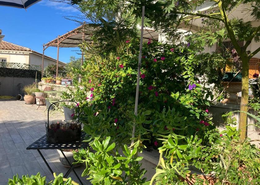 garden
