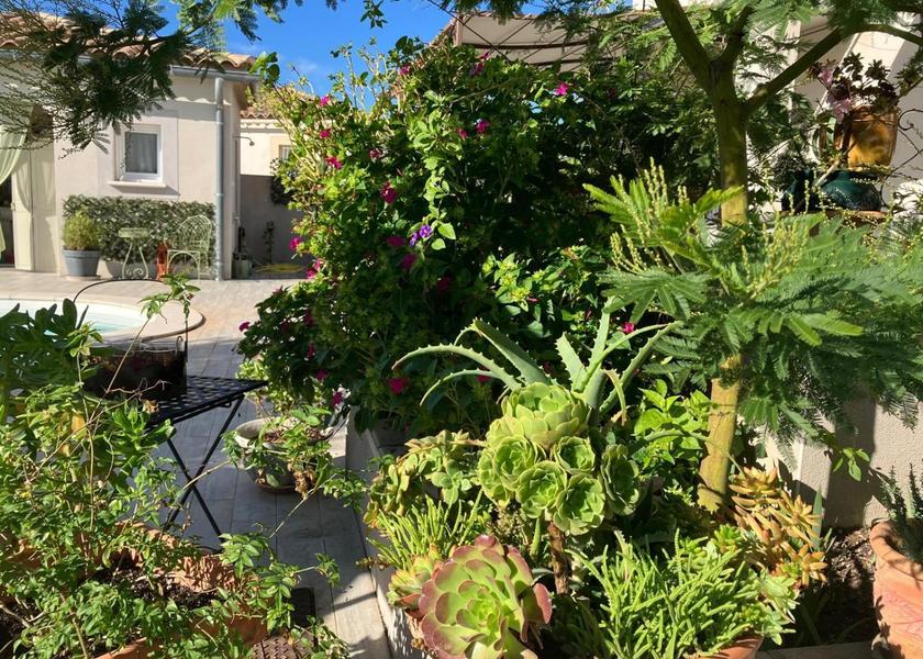 garden