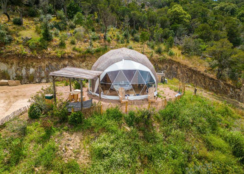 surrounding environment