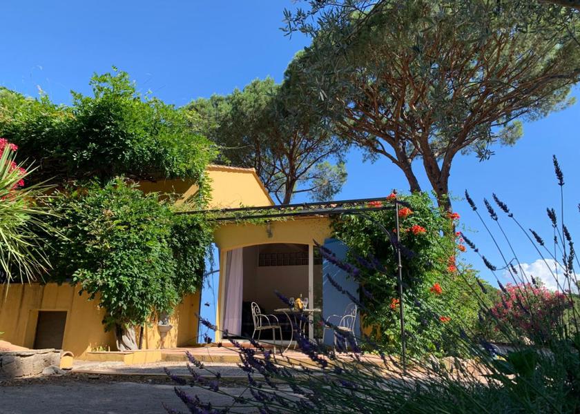 Provence - Alpes - Cote d'Azur Vidauban view