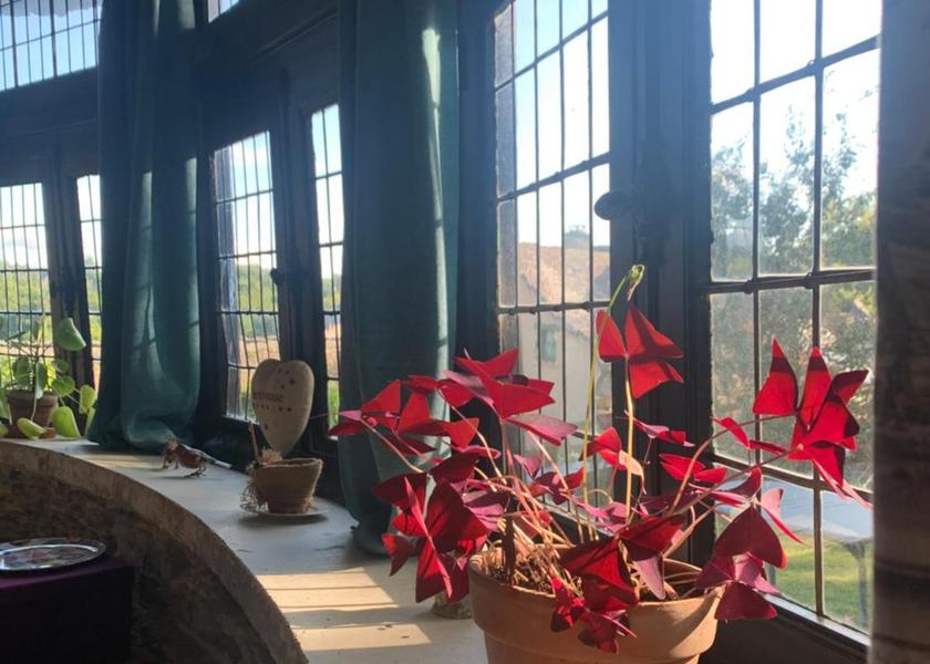 Brittany Rochefort-en-Terre 