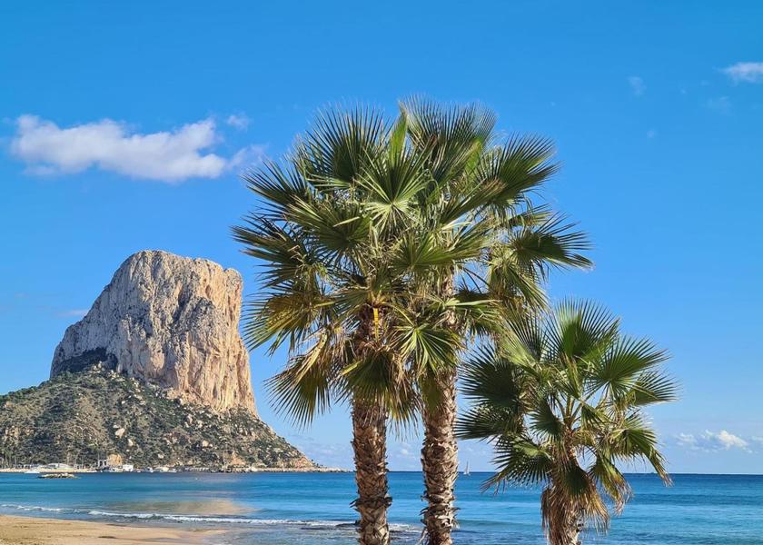 surrounding environment