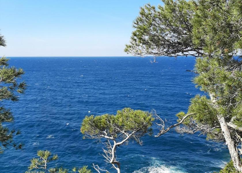 surrounding environment