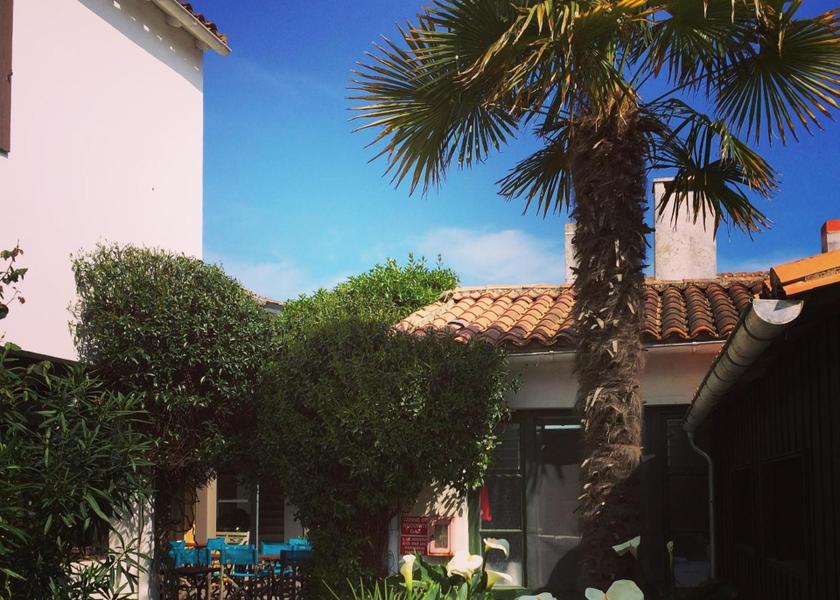 Nouvelle-Aquitaine Saint-Martin-de-Re garden