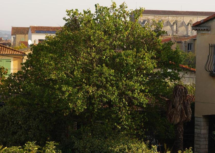 Provence - Alpes - Cote d'Azur Saint-Maximin-la-Sainte-Baume view