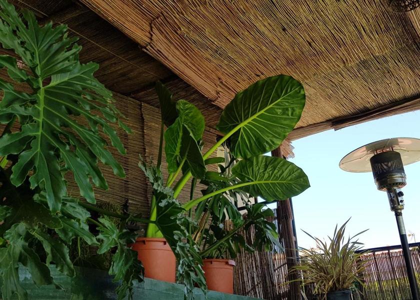 Andalusia Orgiva exterior view