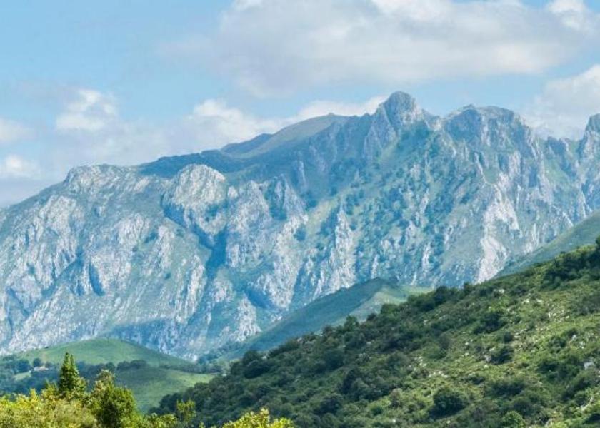 Asturias Cabrales surrounding environment