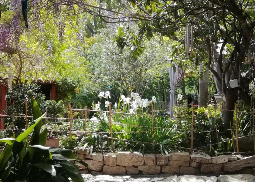 Andalusia Gaucin garden