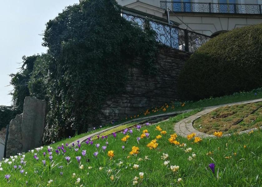 surrounding environment