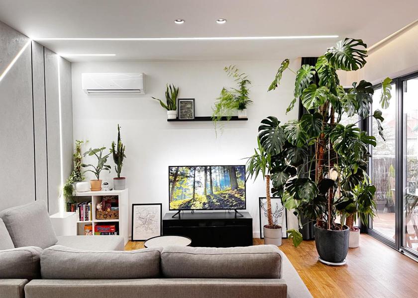 shared lounge/tv area