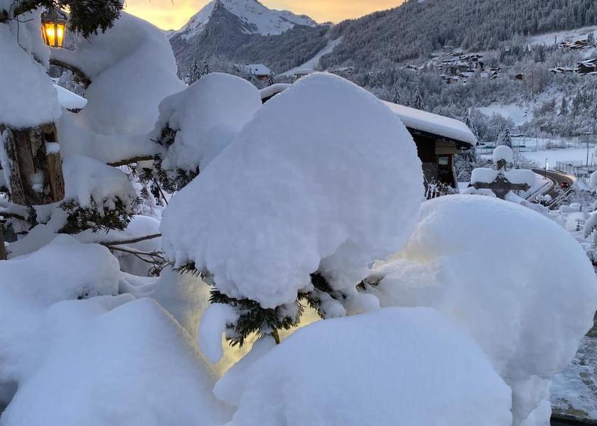 Auvergne-Rhone-Alpes Montriond 
