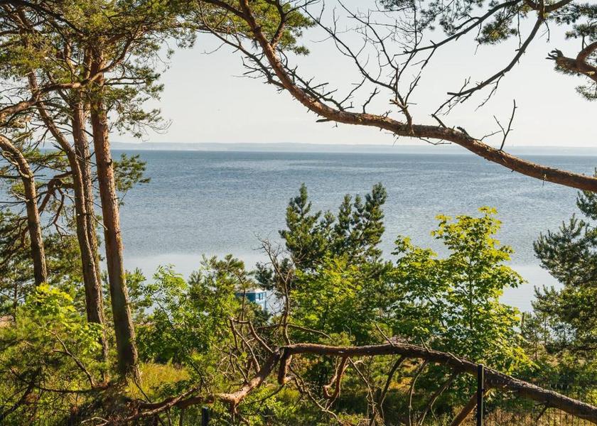 surrounding environment