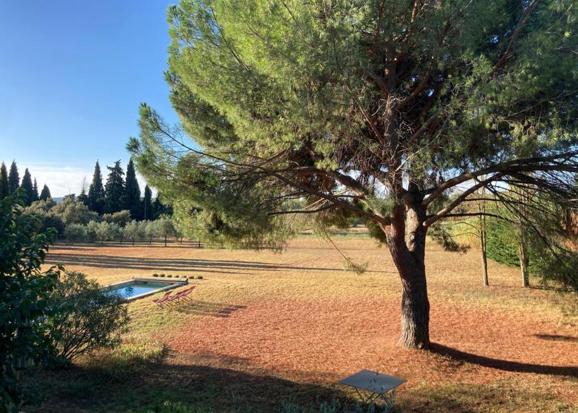 surrounding environment