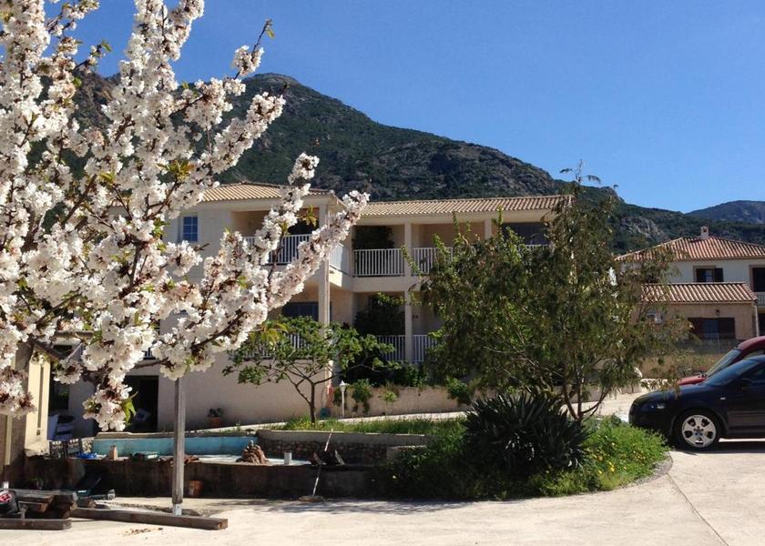 Corsica Galeria exterior view