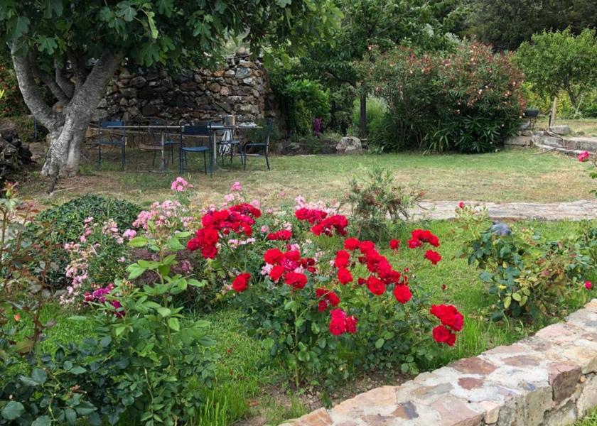 Corsica Galeria surrounding environment