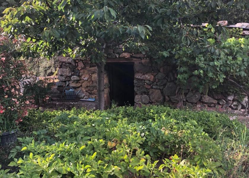 Corsica Galeria surrounding environment